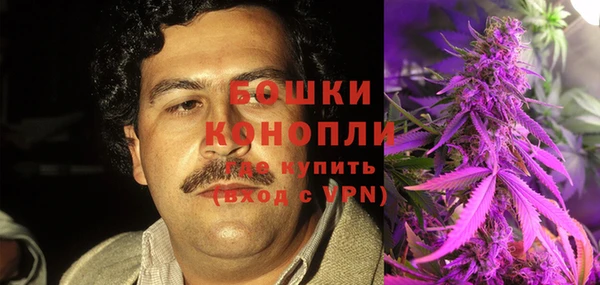 прущие крисы Белокуриха