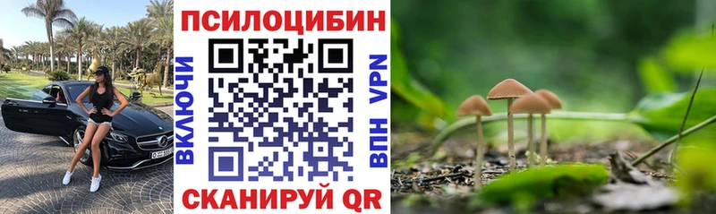 закладка Вязники Псилоцибиновые грибы Magic Shrooms